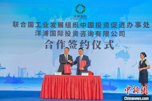 海南洋浦成立国际投资咨询公司 赋能企业投资自贸港先行区